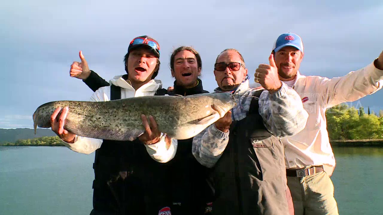 MANCING MANIA | PREDATOR AIR TAWAR EROPA BARAT (25/11/17) 1 - 3