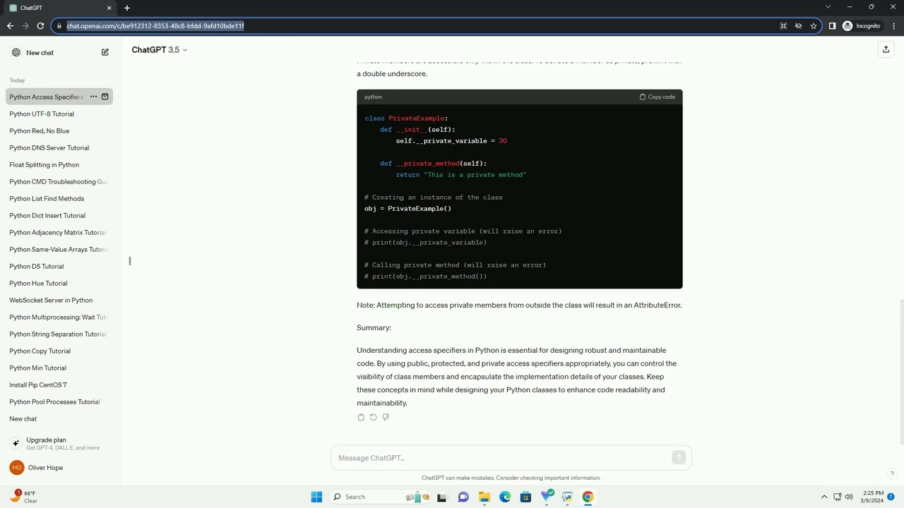 access specifiers in python example