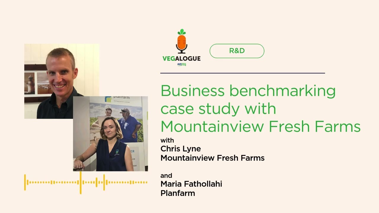 Vegalogue R&D: Business benchmarking case study with Mountainview Fresh Farms