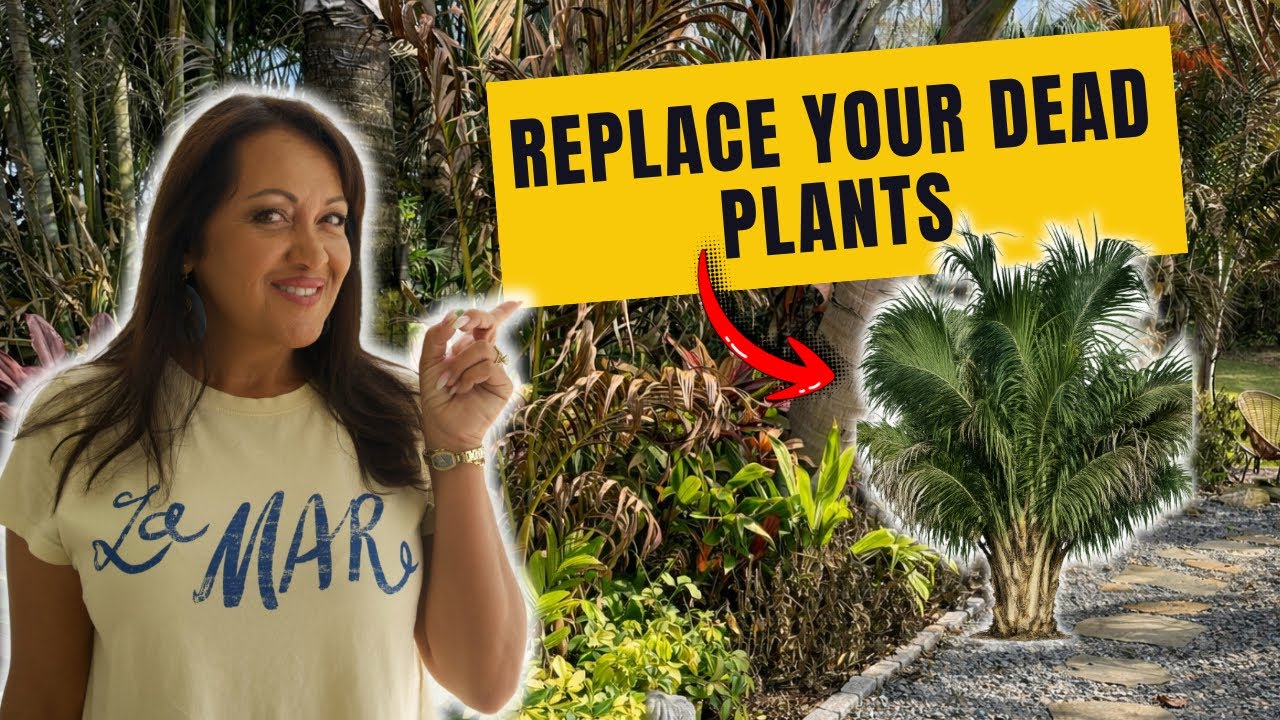 Заморозки во Флориде погубили ваши растения? Используйте эти заменители.