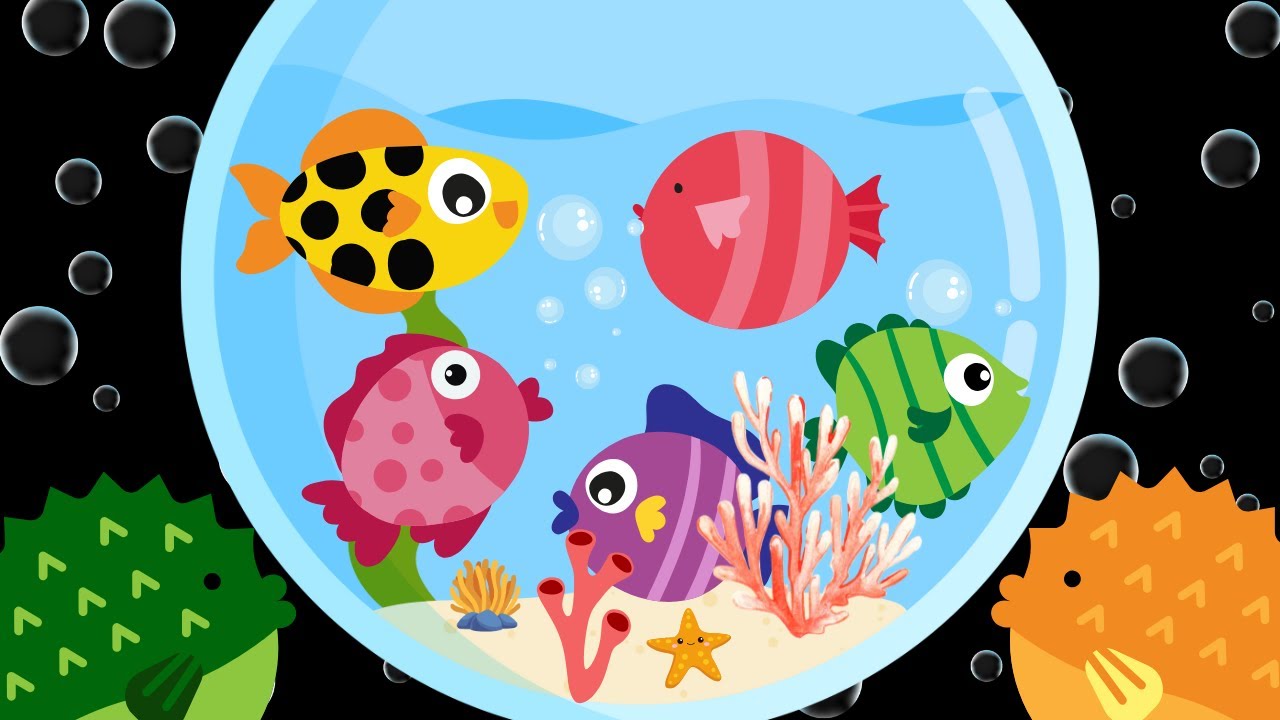 Baby Sensory Video - Calm Baby Music - Sensory Videos For Babies - Visual Stimulation Newborn #baby