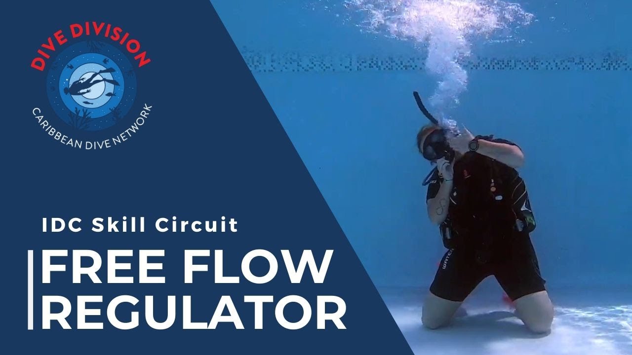 PADI IDC Skill Circuit: Free Flow Regulator (Revised Instructor Development Course)