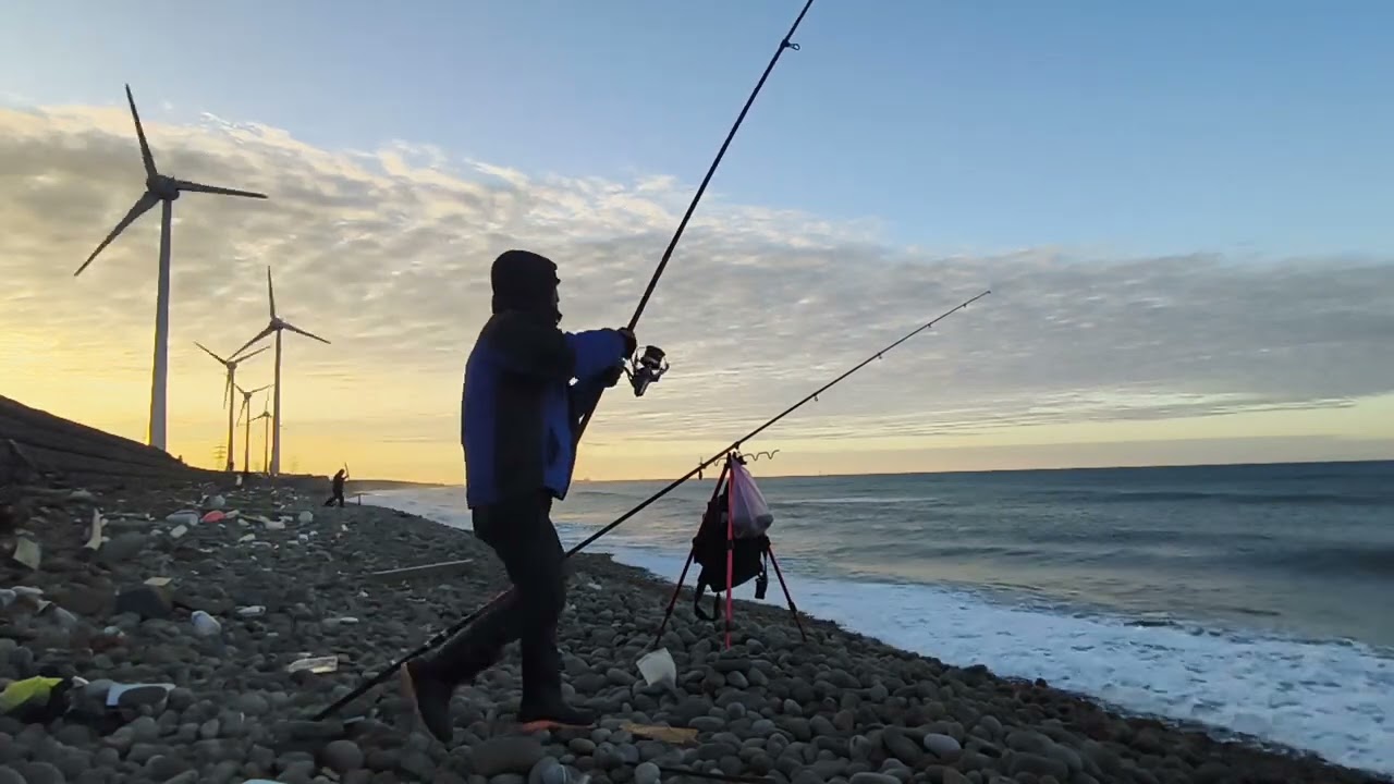 午仔魚-台灣桃園八吹地磅站 要釣午仔魚，最近釣況很差午仔魚都失蹤，只有帕頭仔釣魚四十年了，第一次嘗試用手機錄影再剪接，未來會更常上傳，新手進場 請多包涵，謝謝