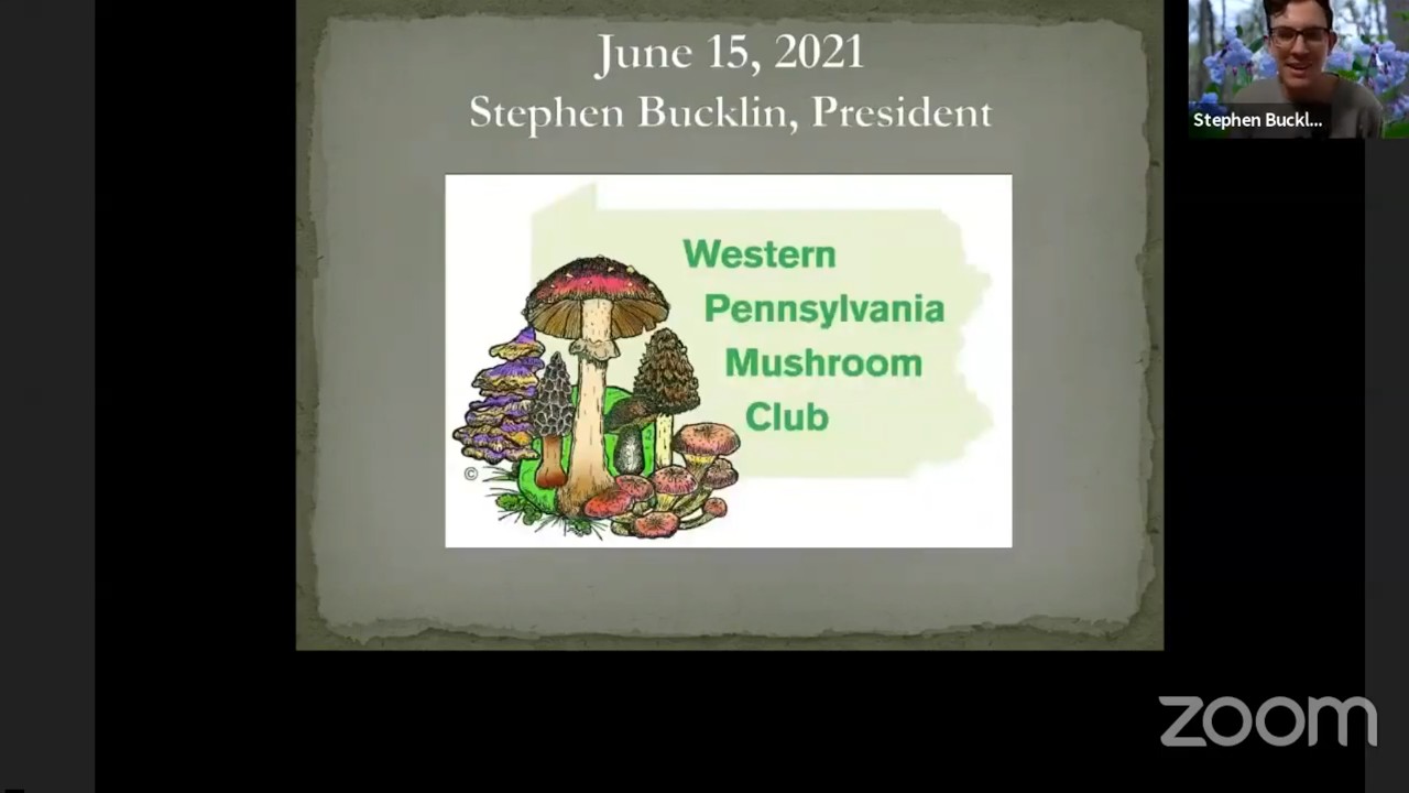 Fungi as Plant Pathogens – Kristen Wickert – WPMC Monthly Meeting – Jun 2021