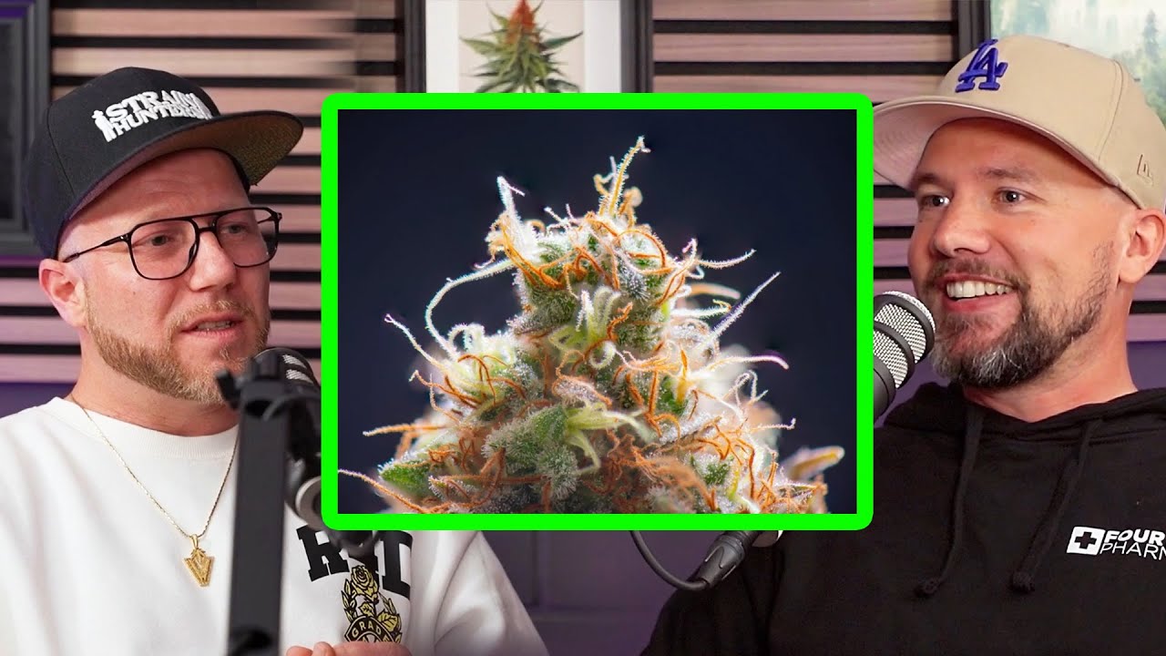 Headgrower Jan Wegner über Strain Hunters, Freundschaft und bestrahltes Gras - Podcast Folge 1 *