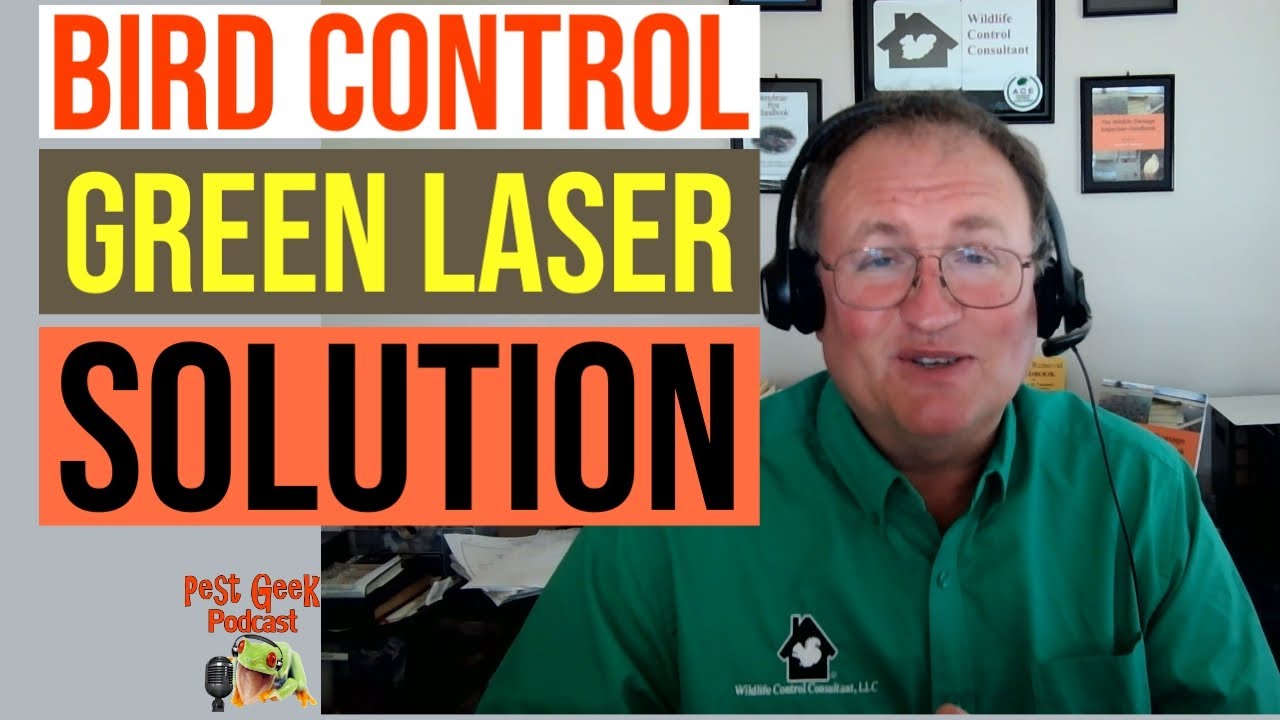 Eric Koch Bird Control Group A Green Laser Solution For Bird Control In Agricultural And Commercial