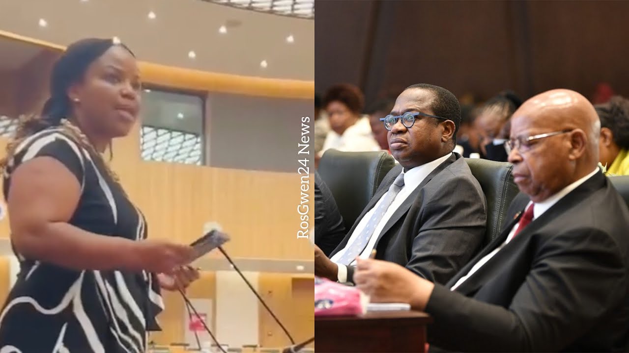 CCC MP Fadzayi Mahere silences Zanu PF in parliament | Zimbabwe