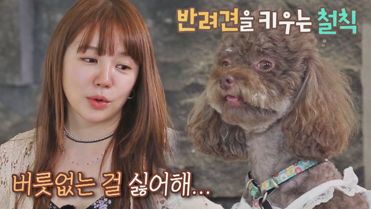 버릇없는 걸 싫어하는 윤은혜(YOOU EUN HYE)만의 반려견 육아 철칙! 펫키지(petkage) 4회 | JTBC 210916 방송