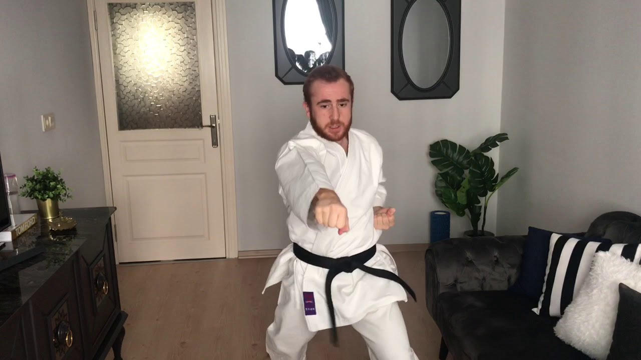 SHOTOKAN KARATE DO STİLİNDE YEŞİL  KEMERDEN MAVİ KEMERE GEÇERKEN YAPILMASI GEREKEN EL TEKNİKLERİ