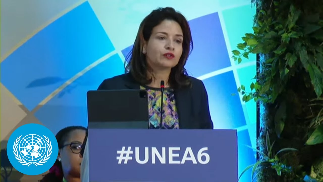 UN Environment Assembly: Opening Plenary | UNEA-6 | United Nations