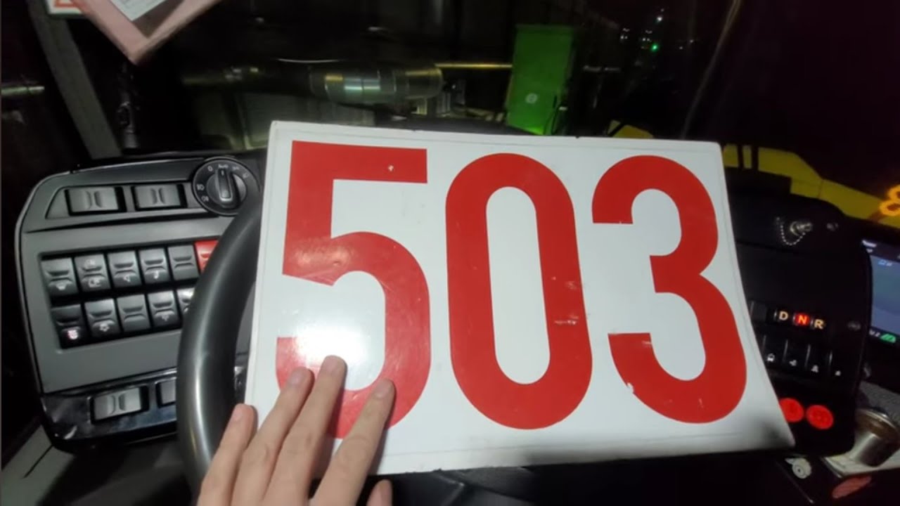 Linia 503 Konwiktorska-Natolin Płn.