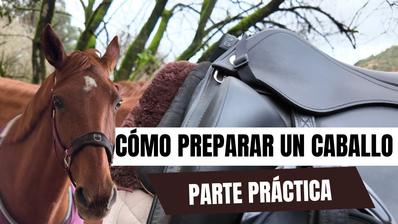 Cómo Preparar a Un Caballo | Rutina Completa |Tutorial La Guía Del Nuevo Jinete