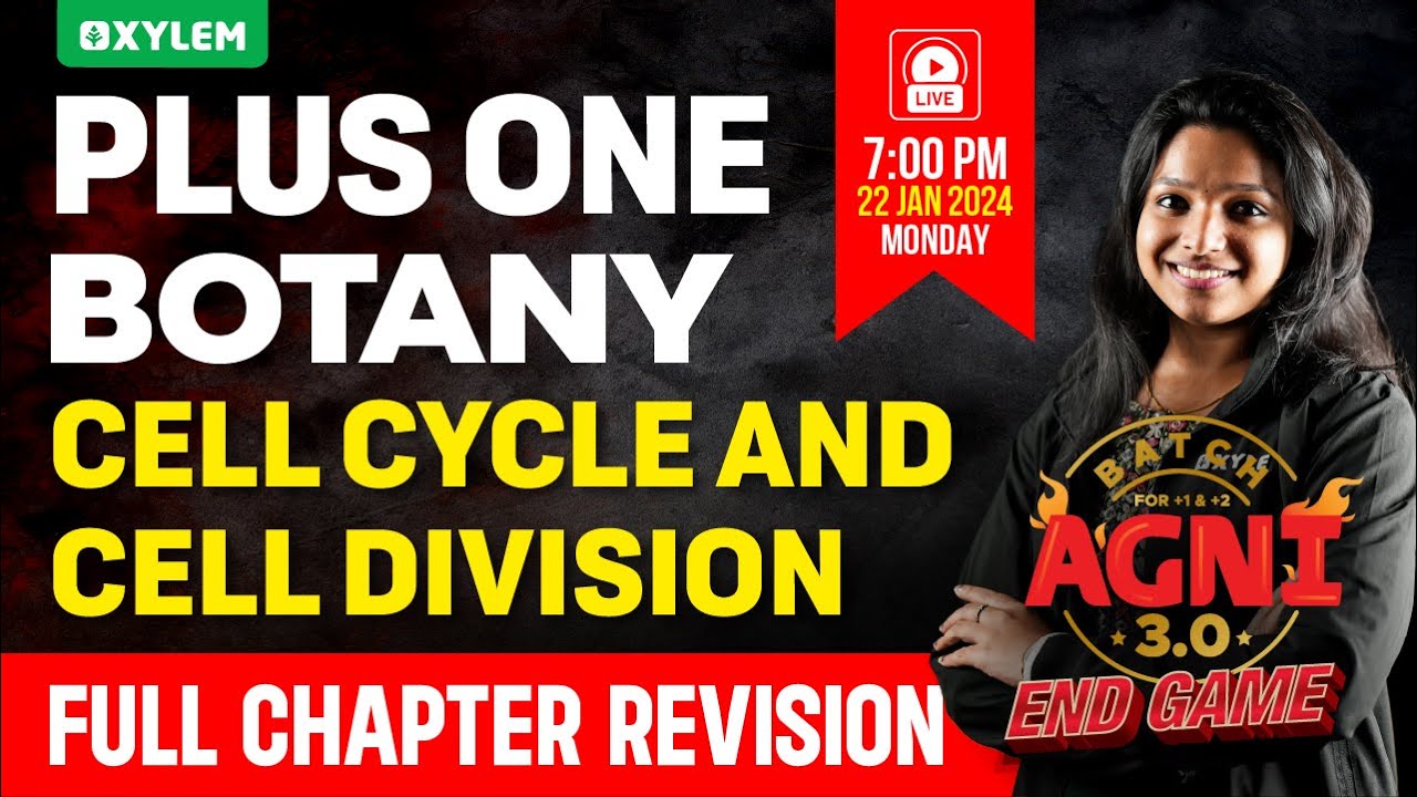 Plus One Botany - Cell Cycle and Cell Division | Xylem Plus One