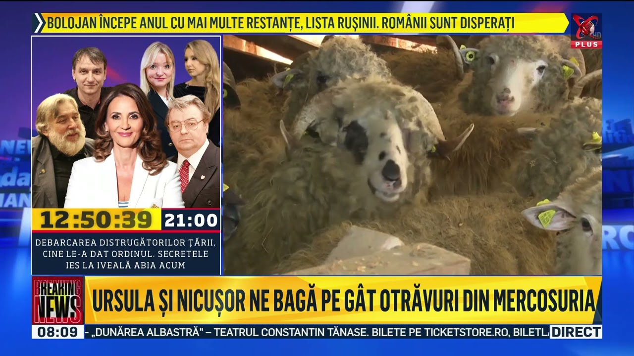 Stirile Realitatea Plus de astazi 18 ianuarie 2026 ora 8