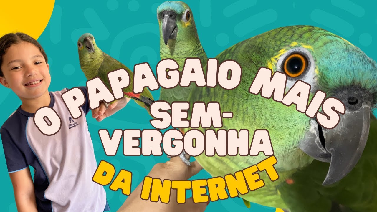 O papagaio mais sem-vergonha da internet 