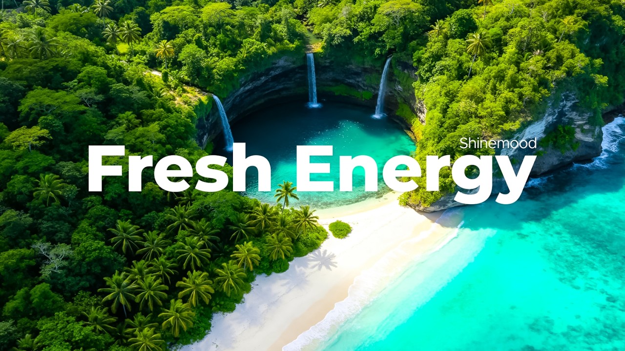 Fresh Energy ✨ Tropical Chillout Music for Calm Focus and Positive Mood | Shinemood