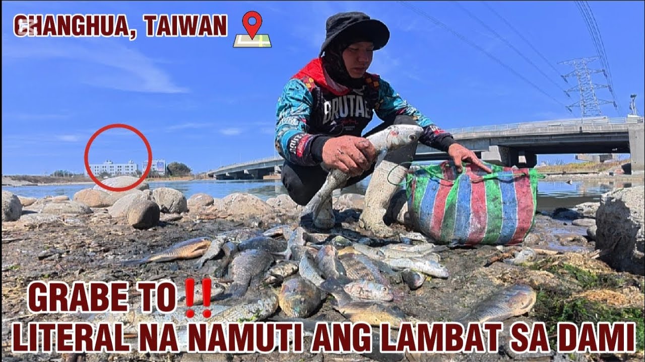 GRABE TO‼️ Literal na namuti ang lambat sa dami ng pumasok sa bulsa😱 || KELOGS TV 