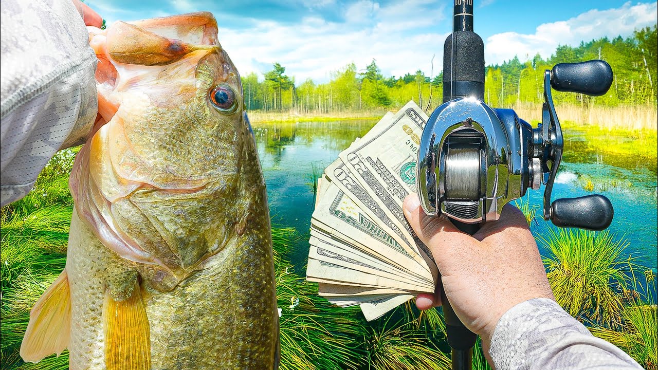 Fishing A SPRING Bass Tournament SOLO - Can I Win?