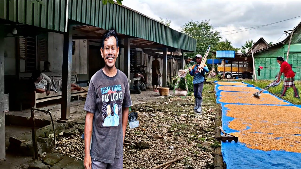 Hidup Di desa‼️Cerita Musim Penghujan&Hasil Panen Warga Di Pedesaan,Suasana perkampungan th 70an
