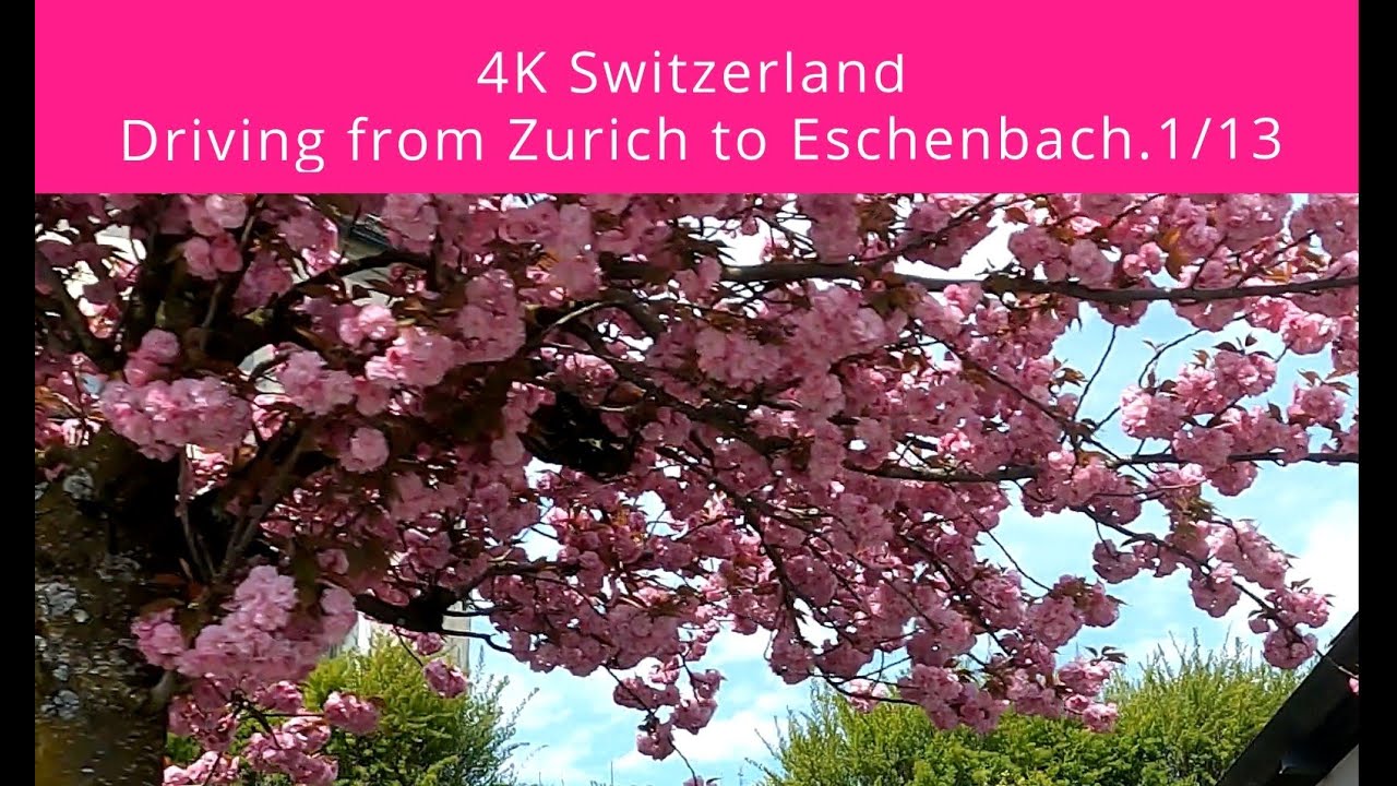 A breathtaking experience driving from Z&uuml;rich to Eschenbach. Seeing flowers and traditional houses.