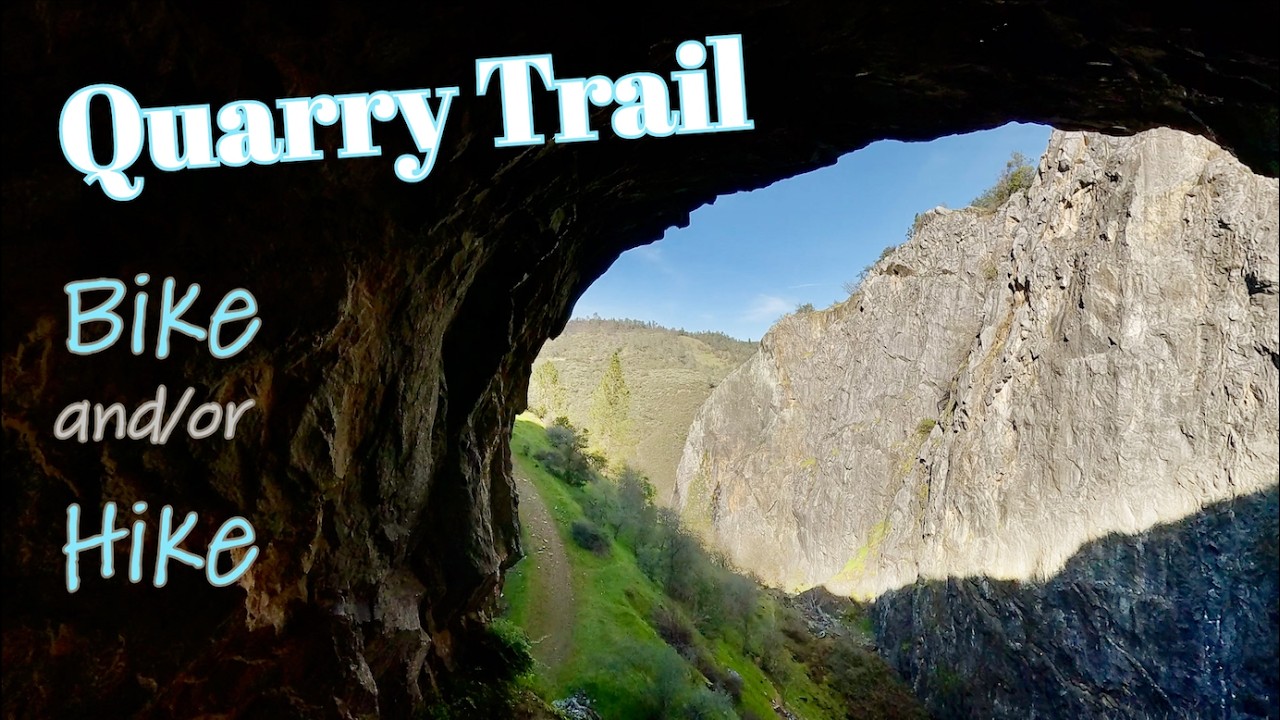 Finds along the Quarry Trail
