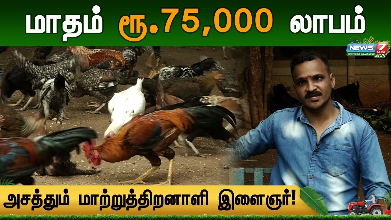 நாட்டுகோழி வளர்ப்பில் Mass காட்டும் மாற்றுத்திறனாளி இளைஞர் | Poultry Farm | Chicken Farm