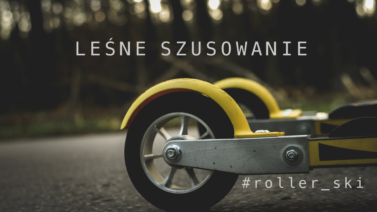 LEŚNE SZUSOWANIE