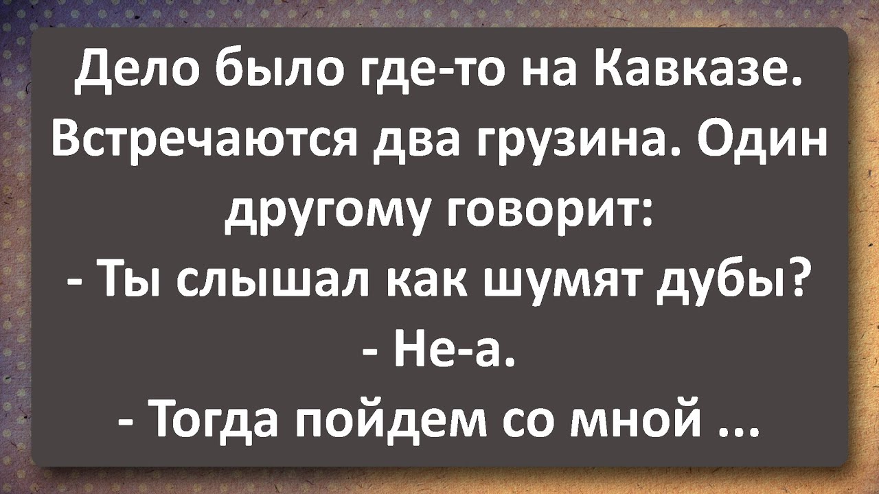 Как Шумят Дубы! Лучшие Анекдоты Всех Времен!