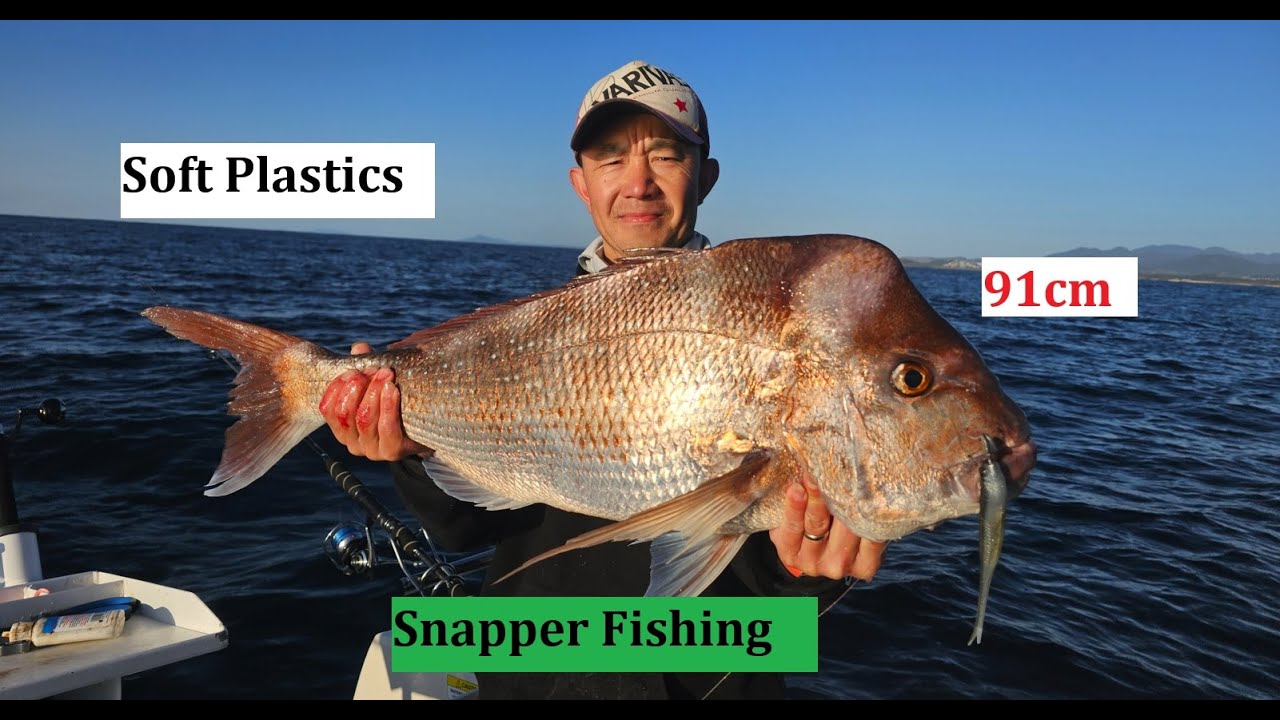 Secret Snapper на мягком пластике | 91 см | Stella FK | Daiwa Exist | Zman | Gulp | Пропал в море