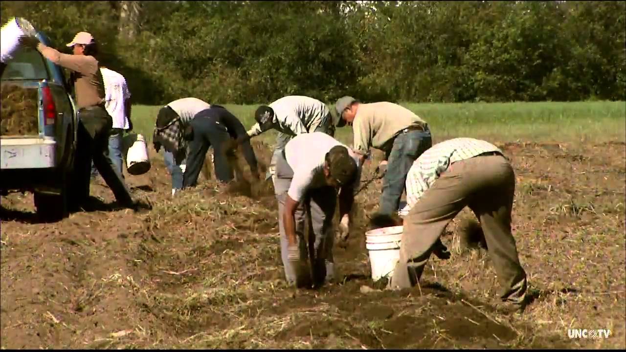 NC RISING | Gaia Herbs | UNC-TV