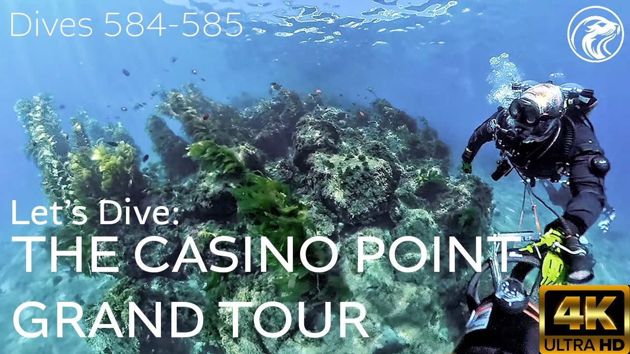Гранд-тур по дайв-сайту Casino Point &mdash; остров Каталина, Калифорния, 2026 г. &mdash; 4K