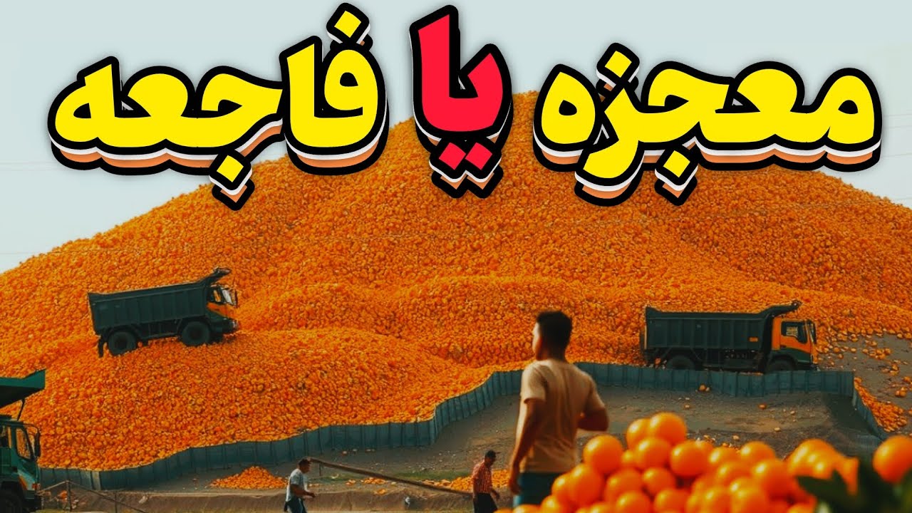 اونا هزاران تن پوست پرتقال رو توی جنگل ریختند و فراموشش کردن / بعد از ۲۰ سال همه شوکه شدند