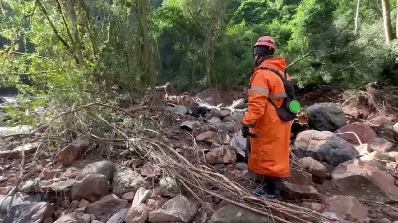 Veja a atuação do cão farejador sergipano Zumbi no Rio Grande do Sul - A8SE