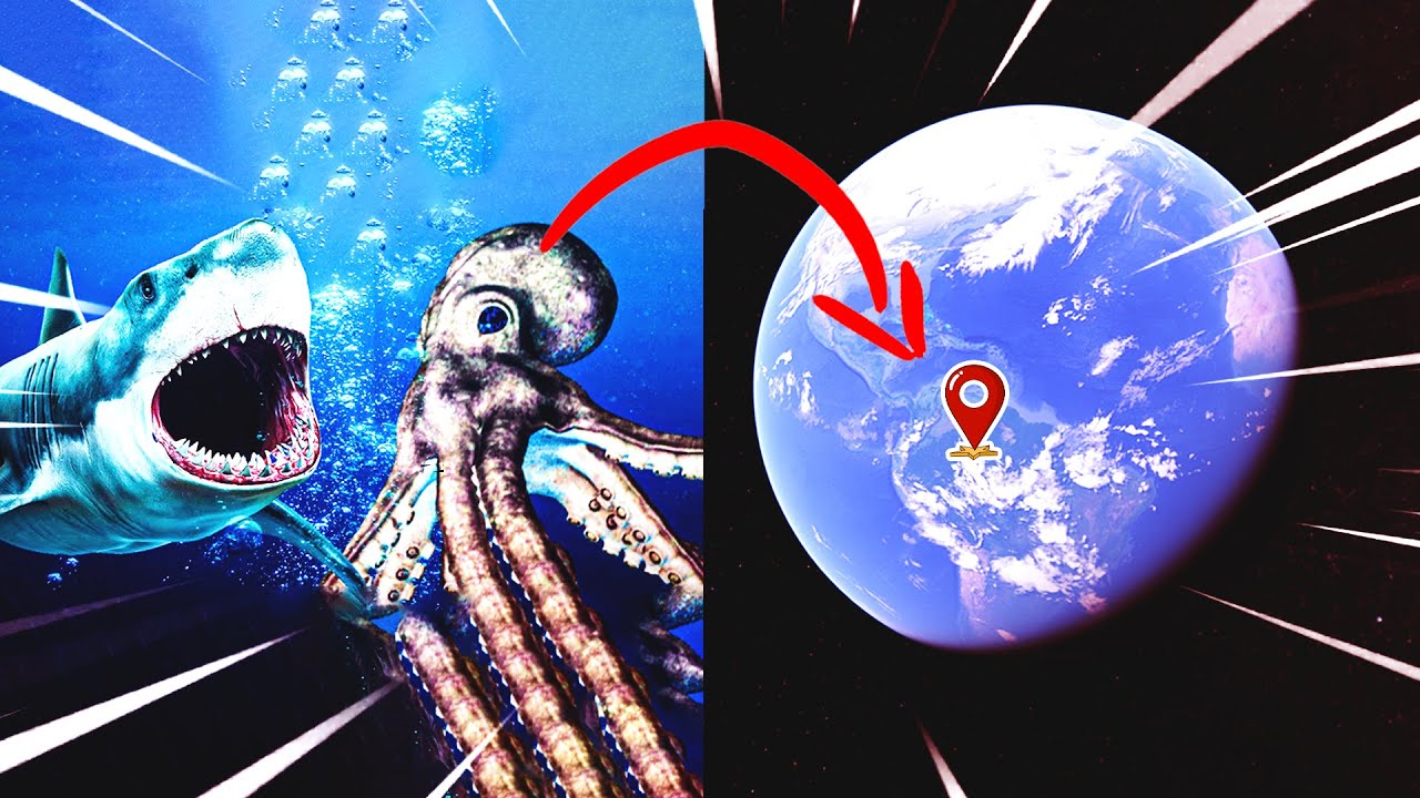 Sea Monster War: Megalodon  Shark VS Giant Octopus Real Life on Google Earth! Bloop,, Blue Whale