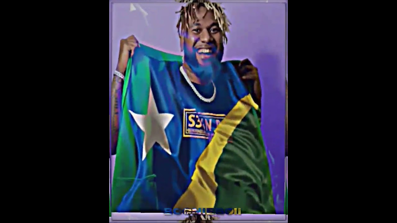 INTRODUCING pacific artist 