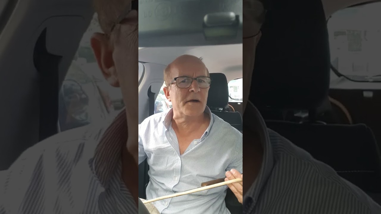 Tayfur sabak raks kurdi.
