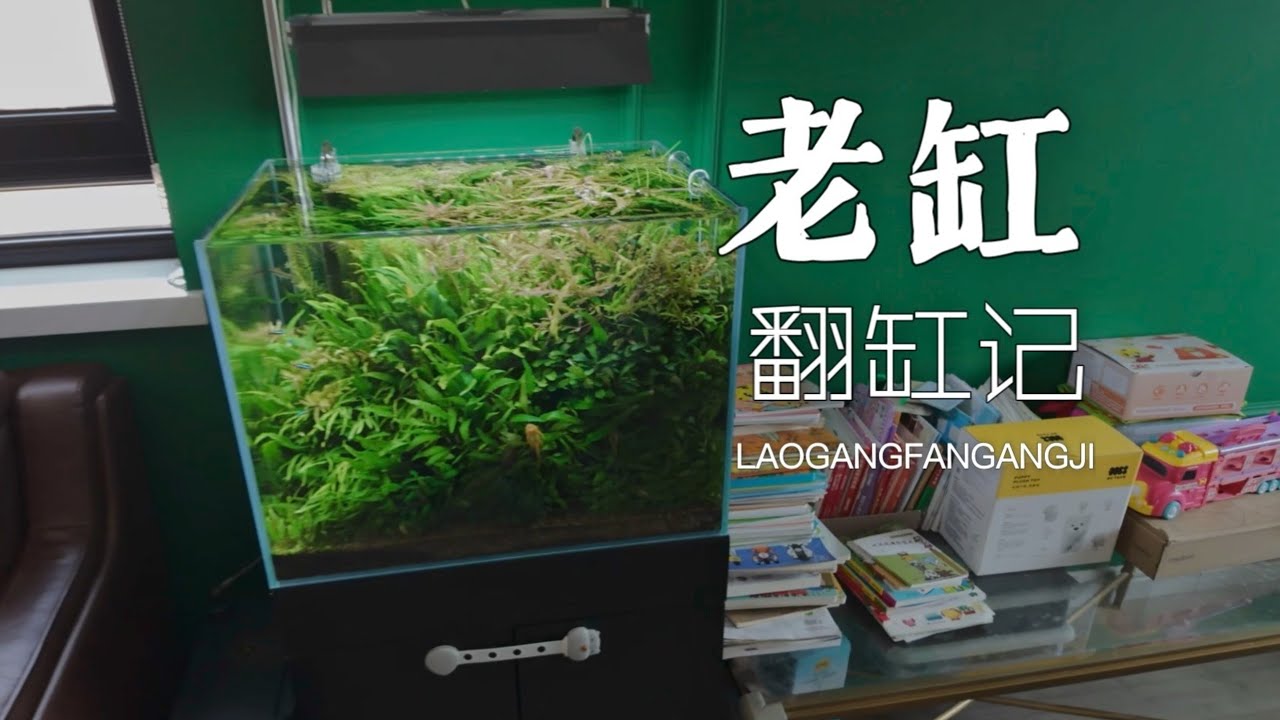 老老老老缸翻缸记，猜猜这个缸几年了？