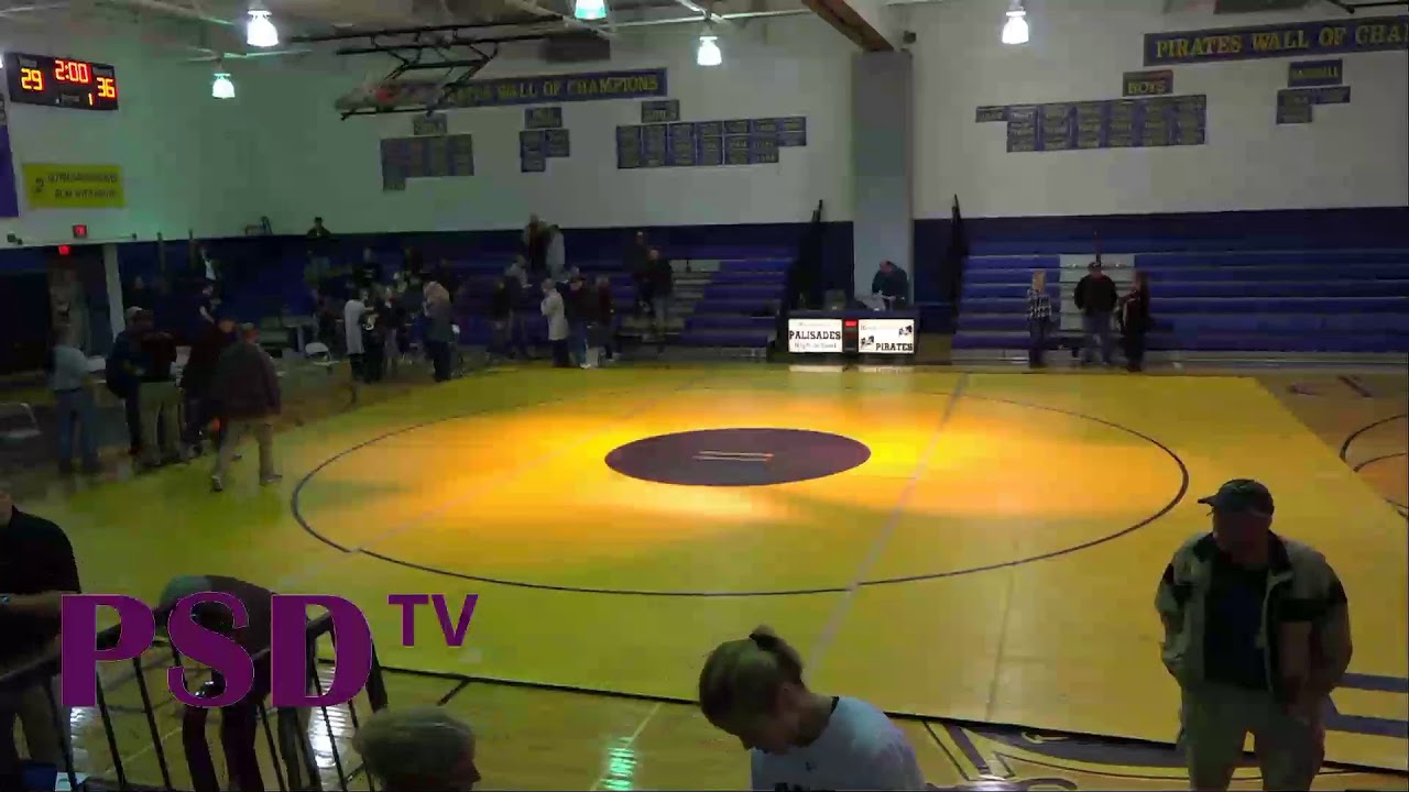 PSDtv Live Stream
