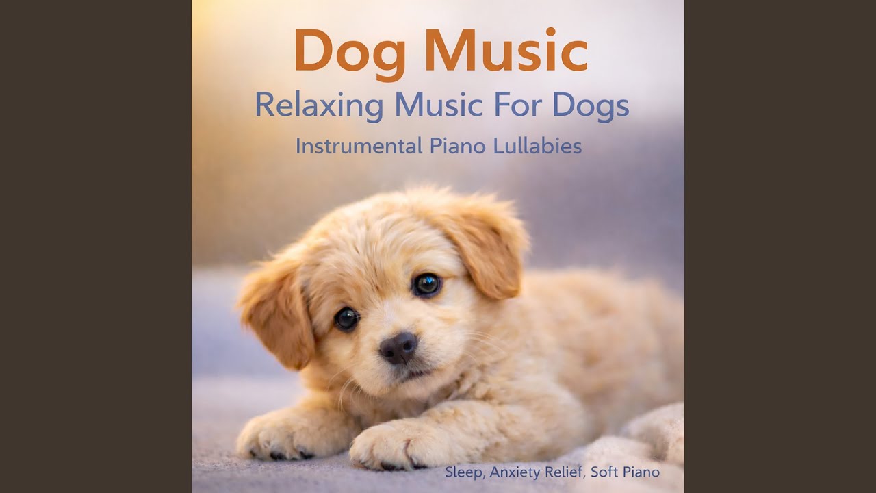 Soothing Piano for Dogs (Loopable - No Fade)