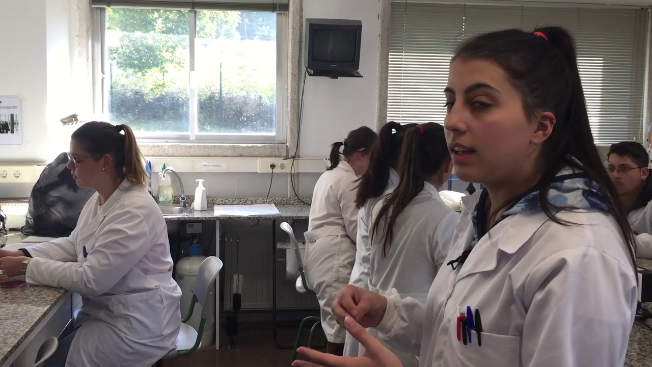 Identificación bacteriana 2º CS Laboratorio Clínico e Biomédico