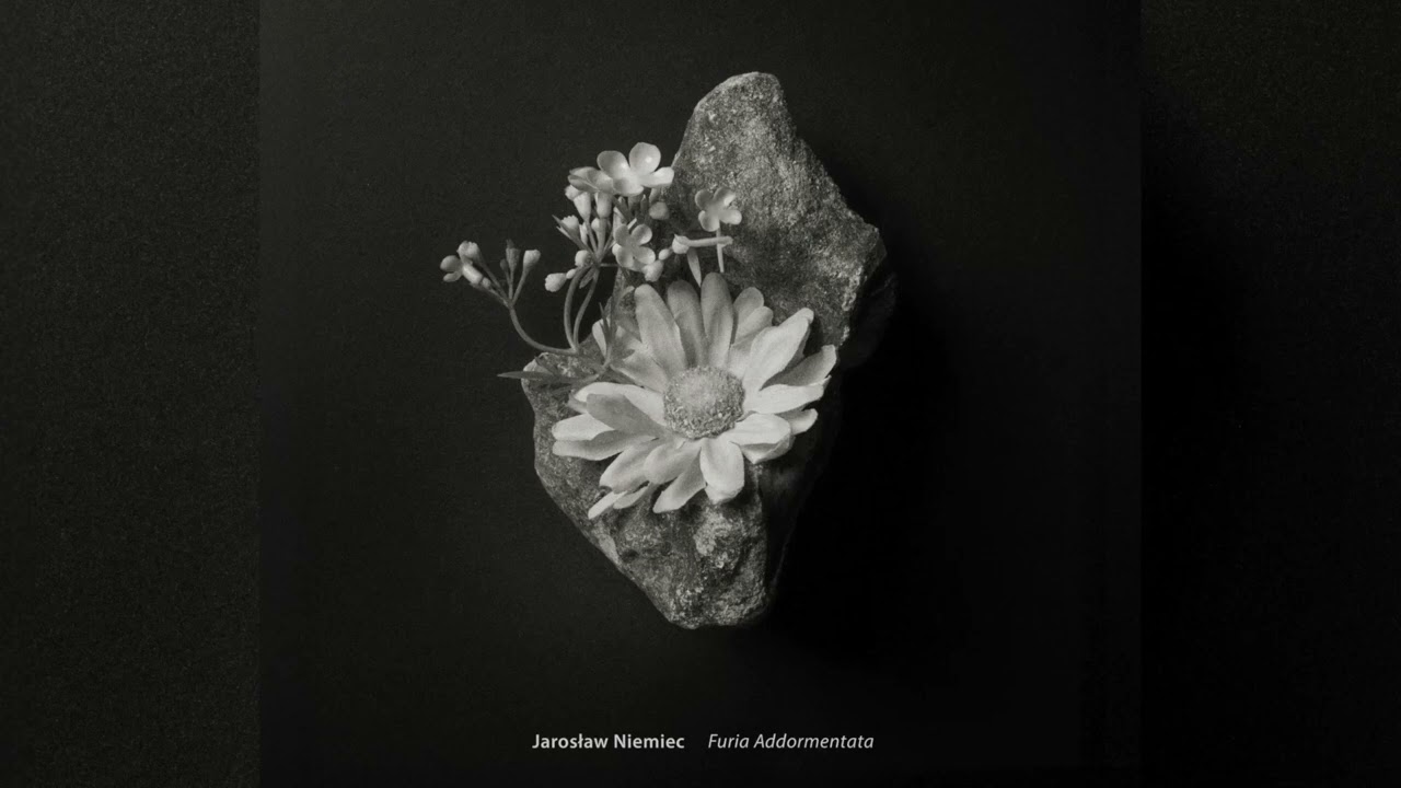 Jarosław Niemiec - Furia Addormentata (full album)