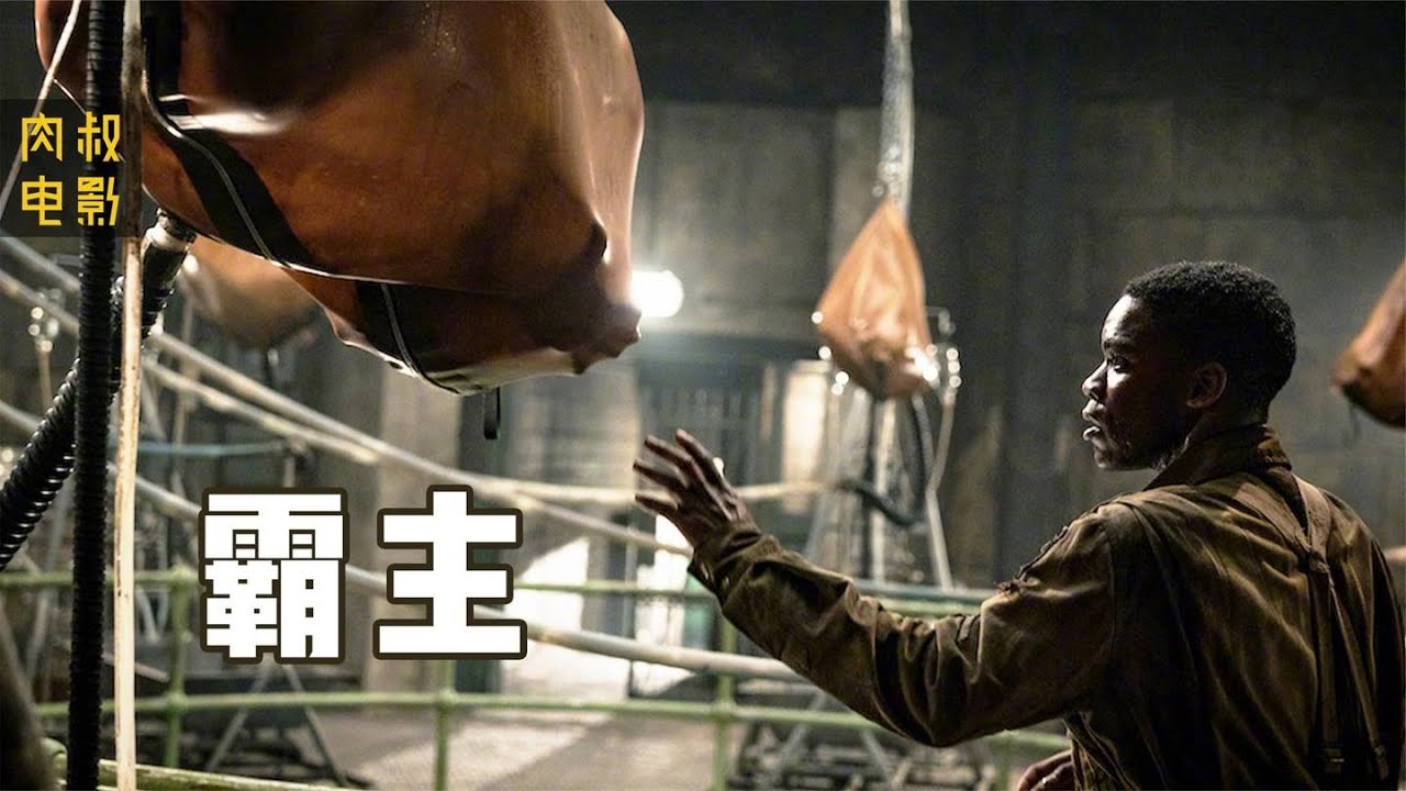 《霸主》《大君主行動》冷门战争恐怖片，小镇教堂成秘密基地，年轻人都被抓去做实验