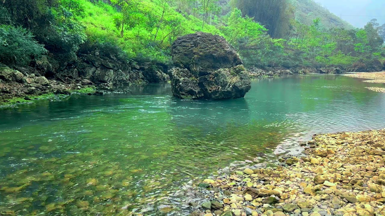 Relax in Nature, Gentle River & Birds Singing for Calm, Focus & Sleep, Relaxing Nature Sounds