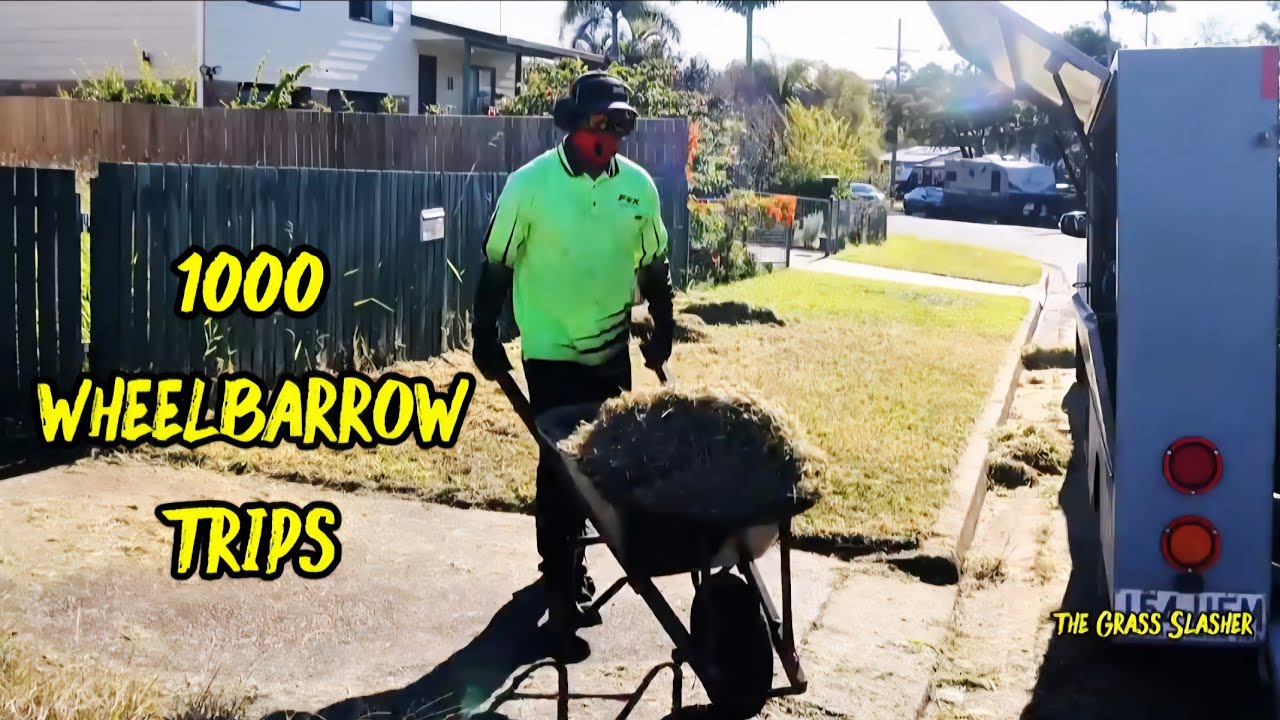 Full Transformation Video Of The Most Insane Yard We Have Done This Year #asmr #satisfying 