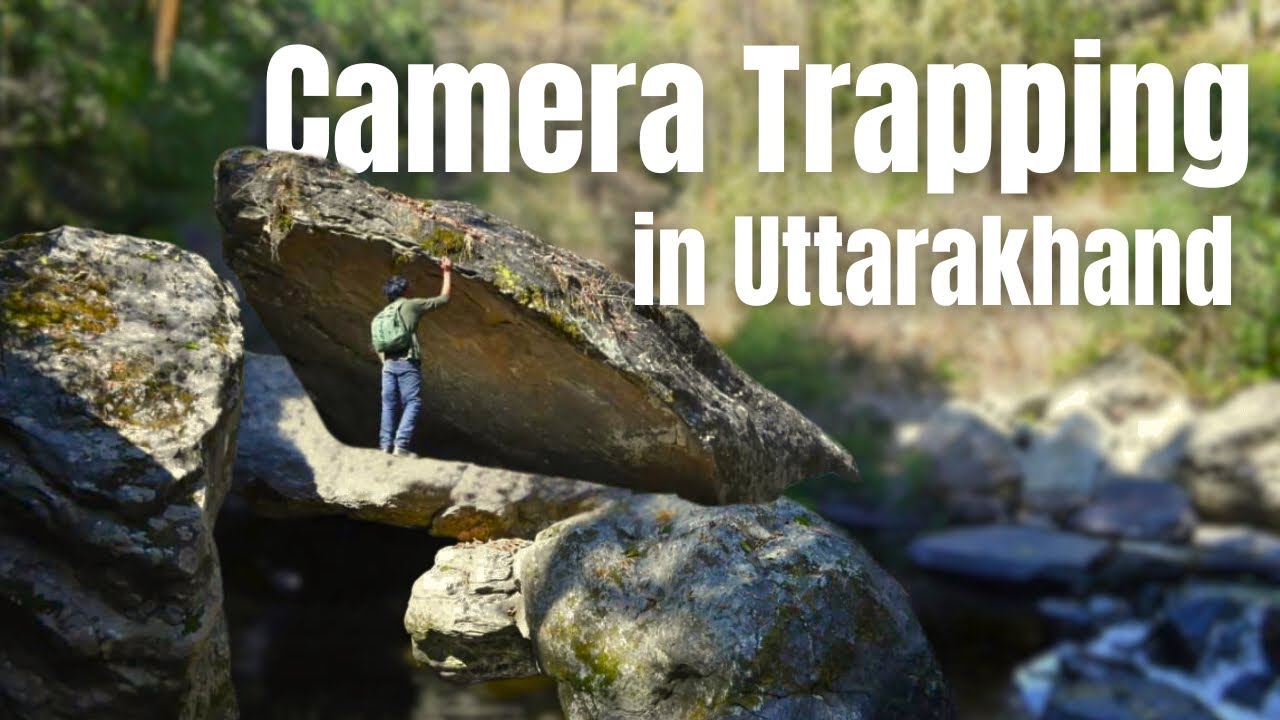 Segments of Research: Basics about Camera Trapping