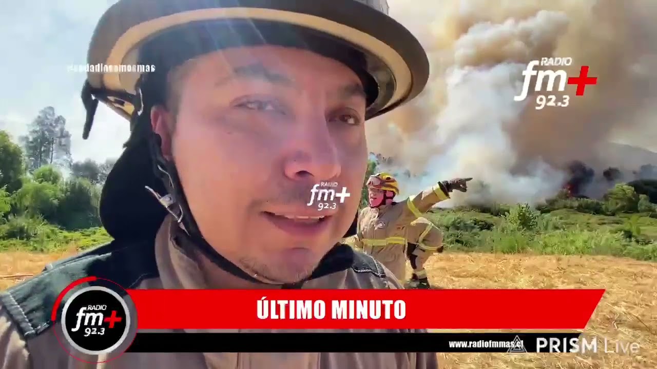 Segunda alarma por incendio forestal en El Bajo de Talca: fuego avanza en humedal, amenaza viviendas