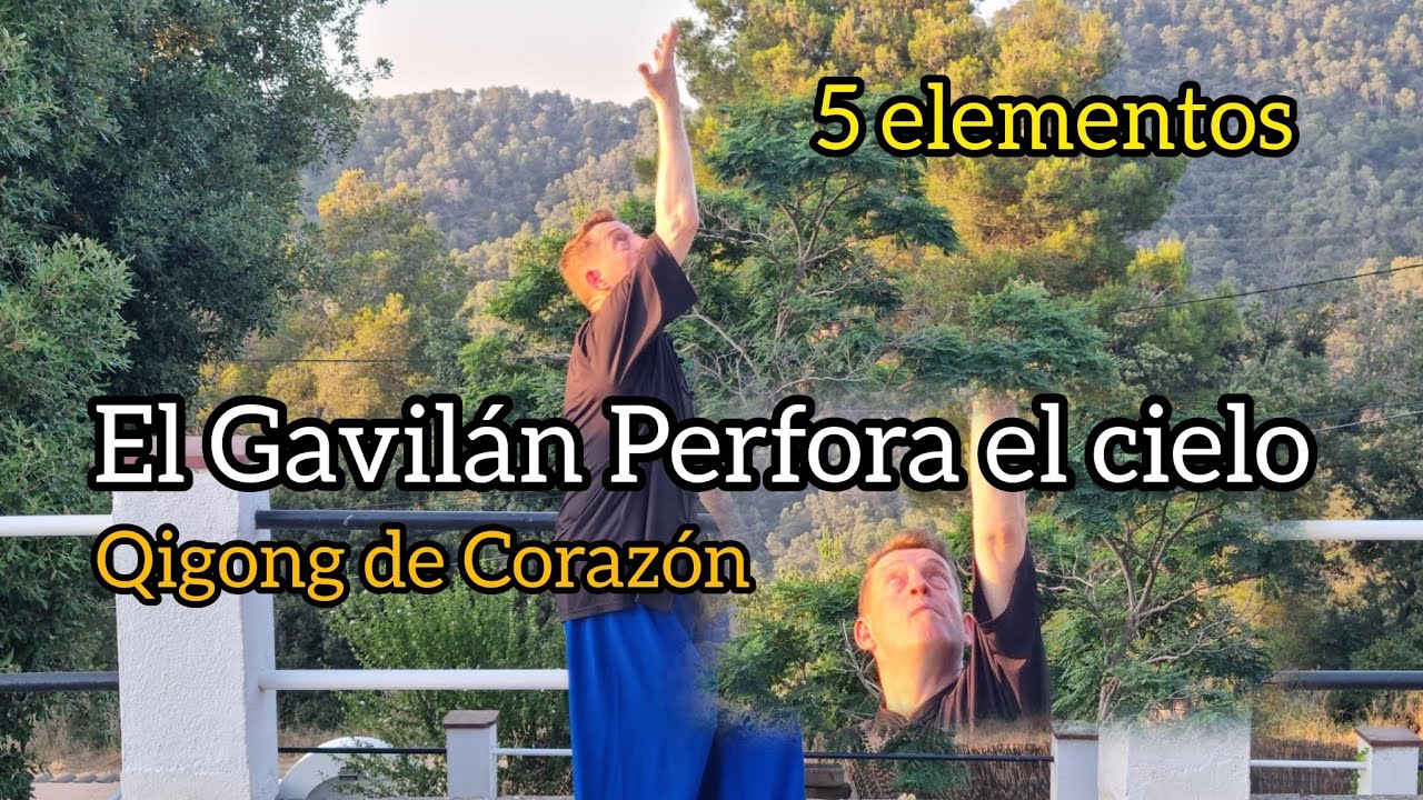 SENTIR LA ENERGÍA CON EL CORAZÓN [QIGONG FORMACIÓN] 