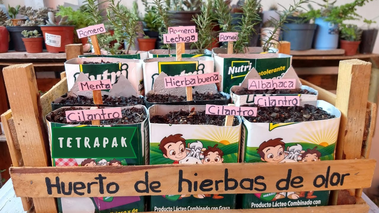 Como hacer un mini huerto con cajas de tetrapak/ Reto #MacetaRecicladaConTetraPak