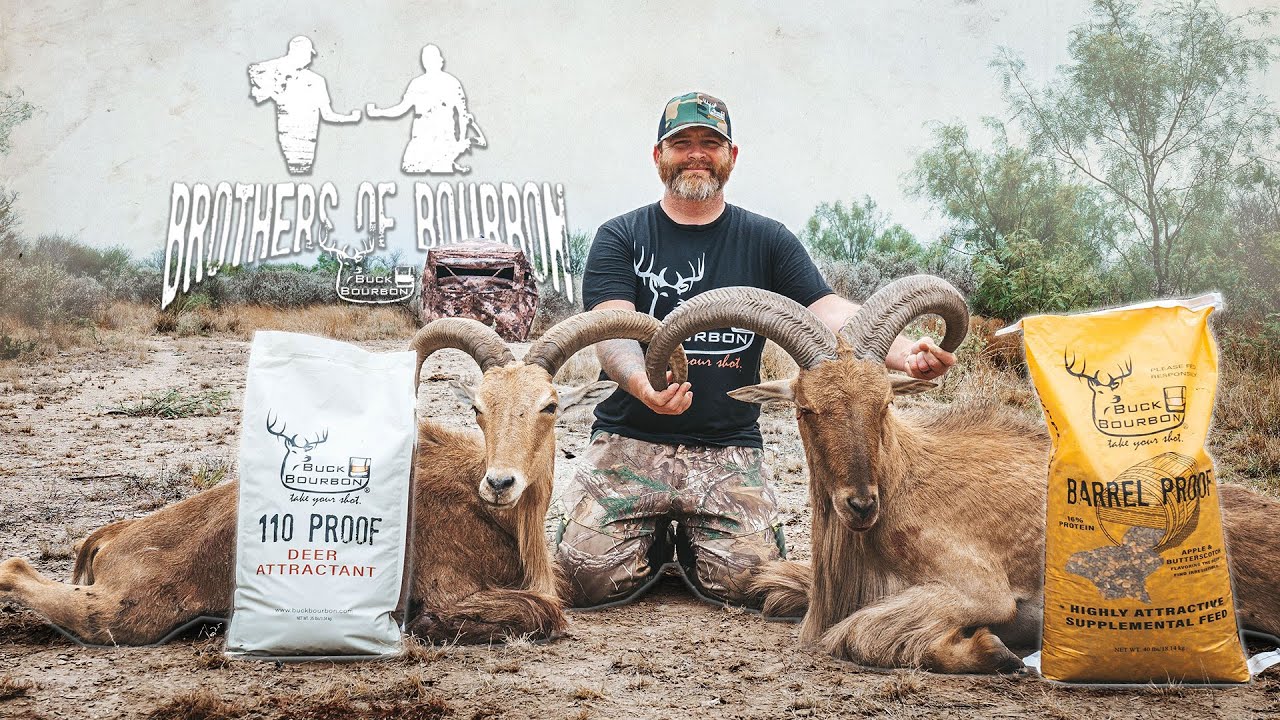 Hunting Exotics in Texas- Billy Aoudad Part 2: Brothers of Bourbon | Buck Bourbon 🥃
