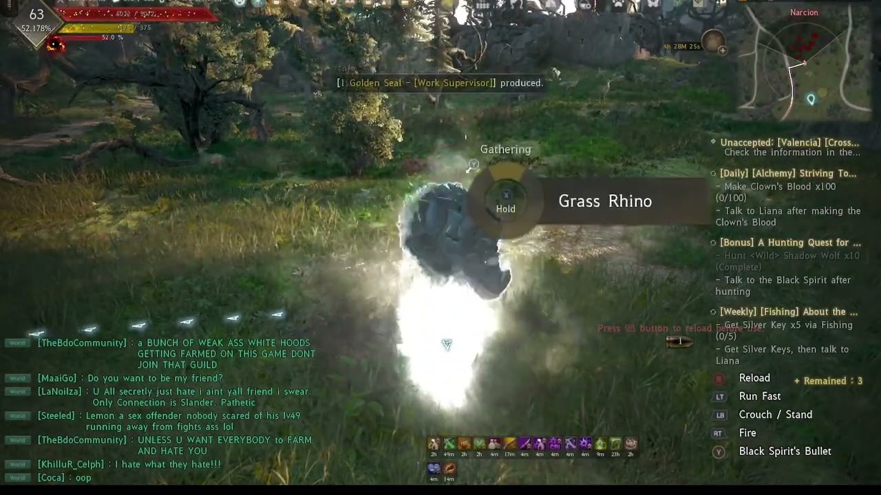 Black Desert Online - Rhino Rotation